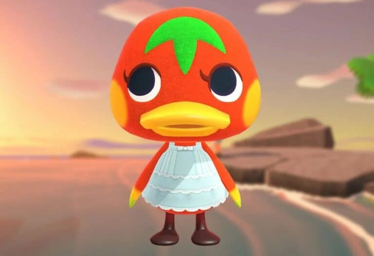 Ketchup Animal Crossing Creature Crossing