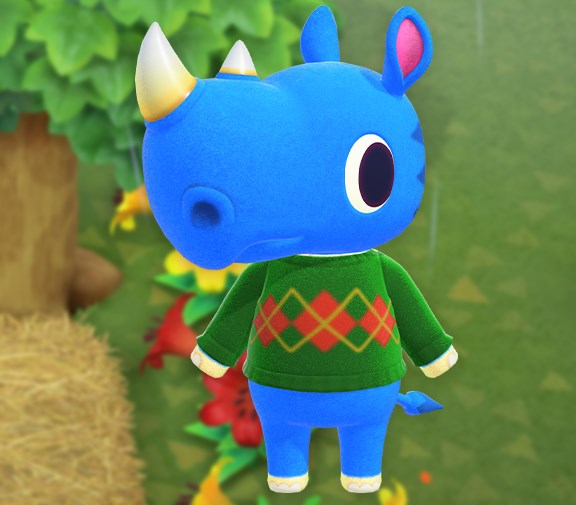 pocket camp