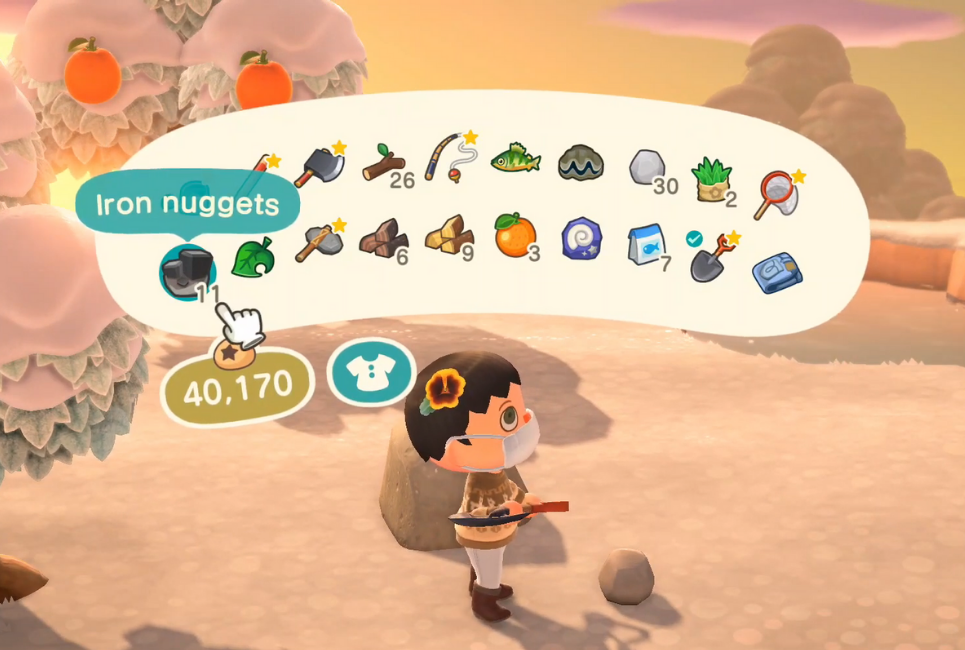 Animal Crossing Pocket Organization Guide Creature Crossing