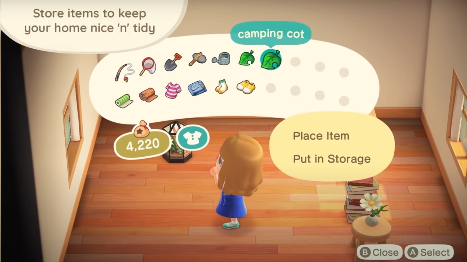 animal crossing items