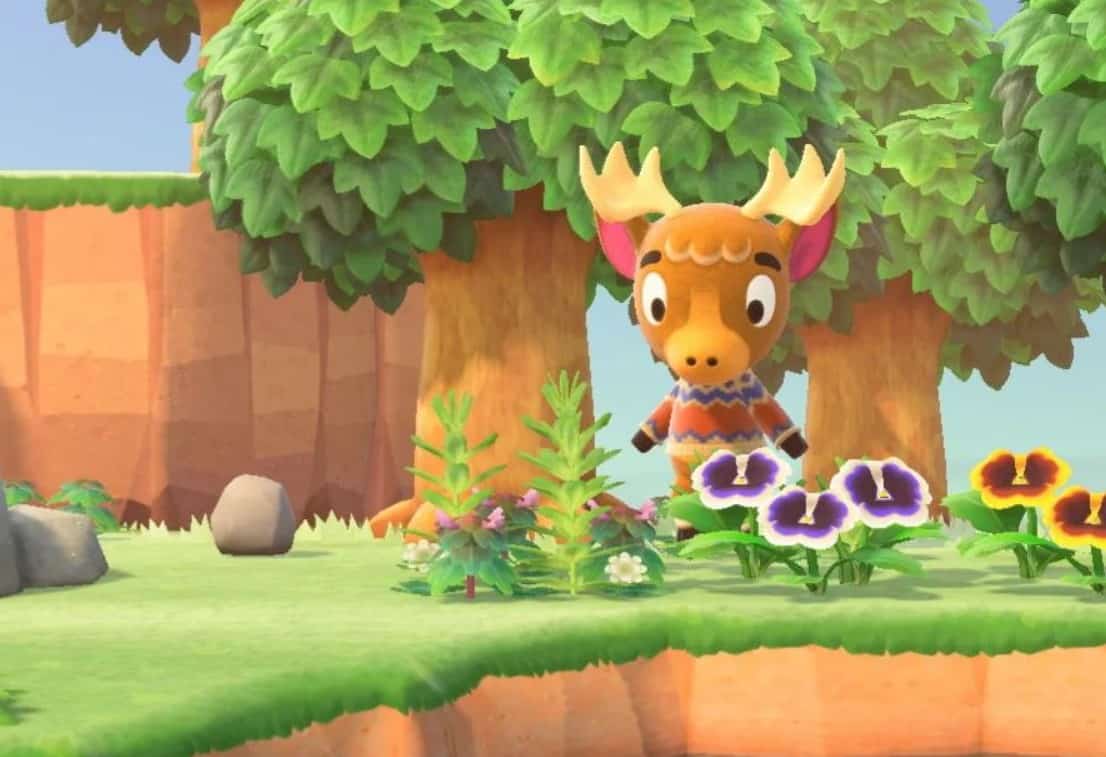 Erik Animal Crossing