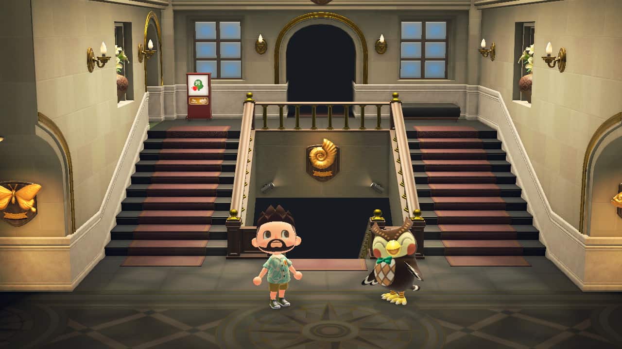 The museum lobby with Blathers