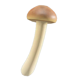 Skinny Mushroom