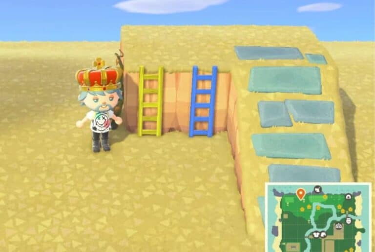 How to Get a Ladder in Animal Crossing Creature Crossing