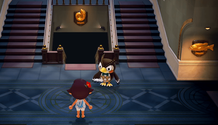 blathers and his museum in new horizons