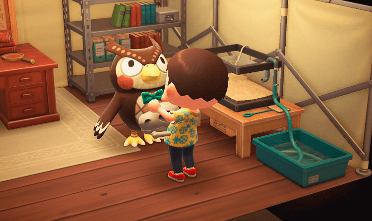 blathers asking for information