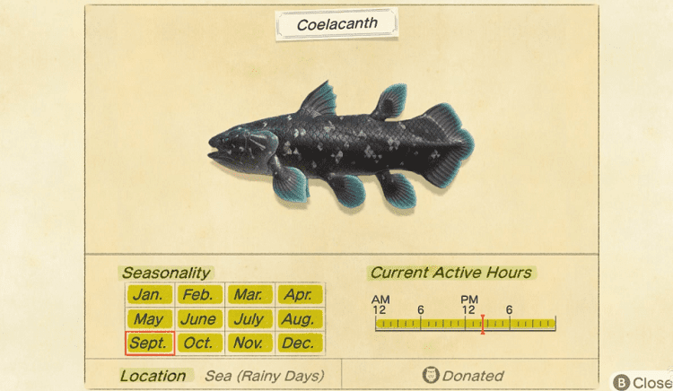 coelacanth animal crossing