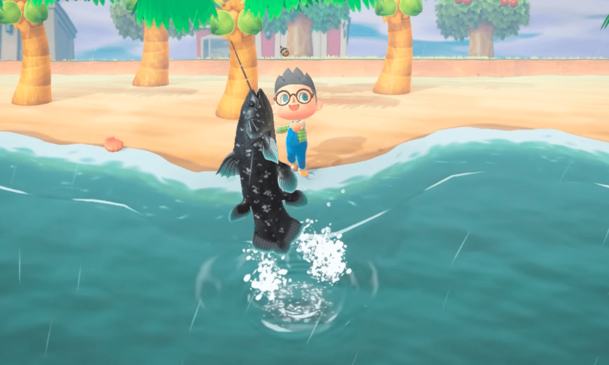Coelacanth Animal Crossing Guide Creature Crossing