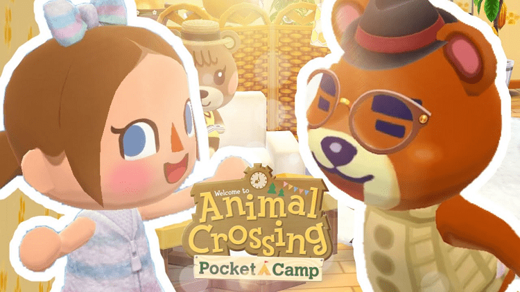 Teddy Pocket Camp