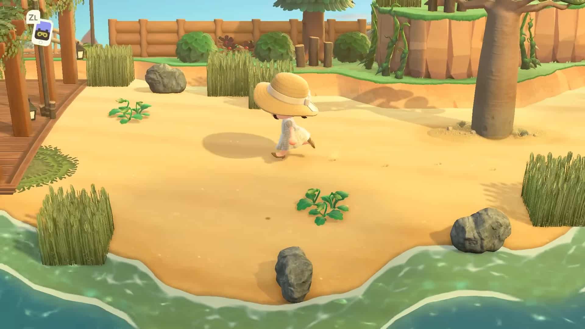 animal crossing beach