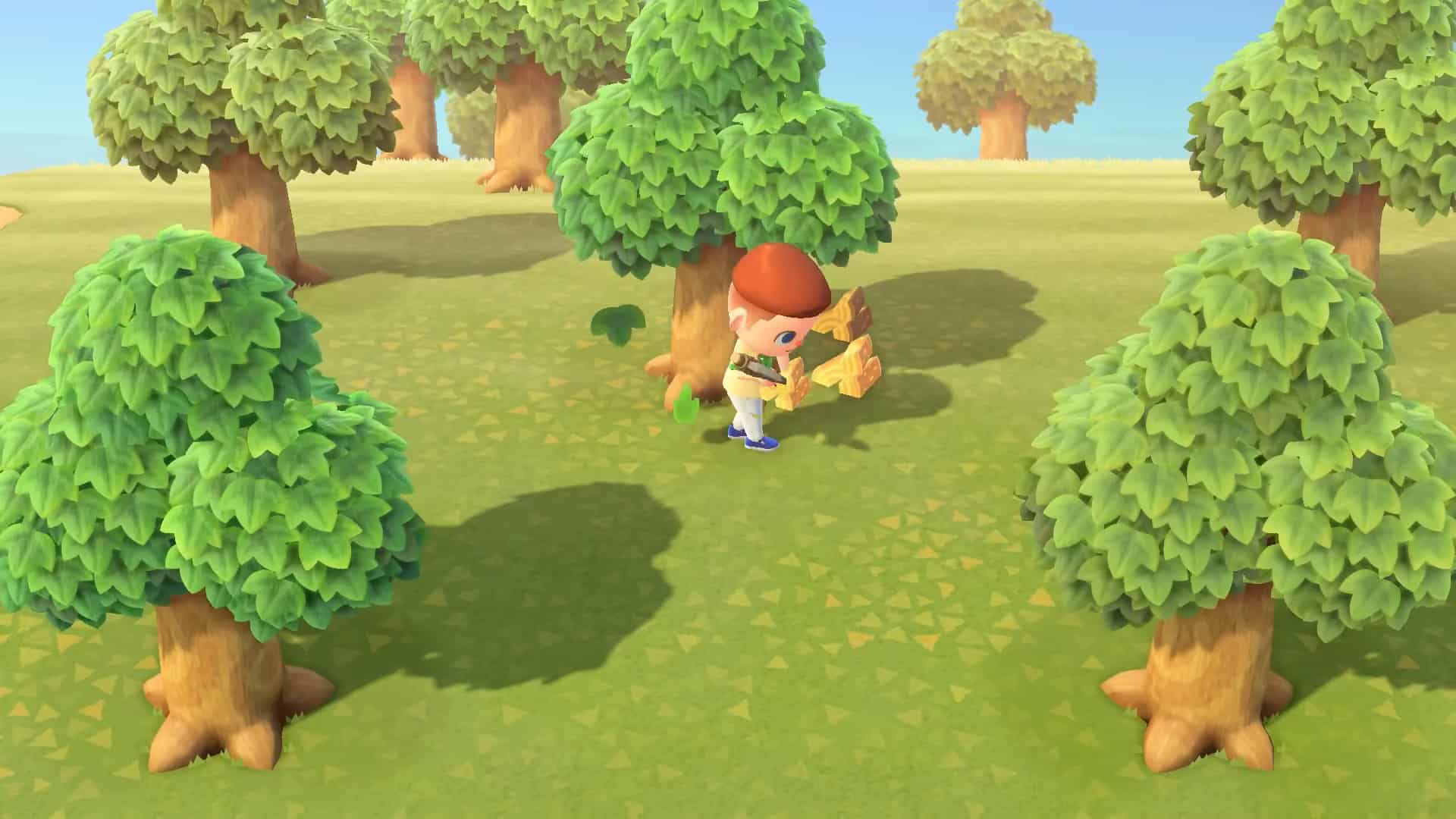 Animal Crossing New Leaf vs New Horizons - Creature Crossing