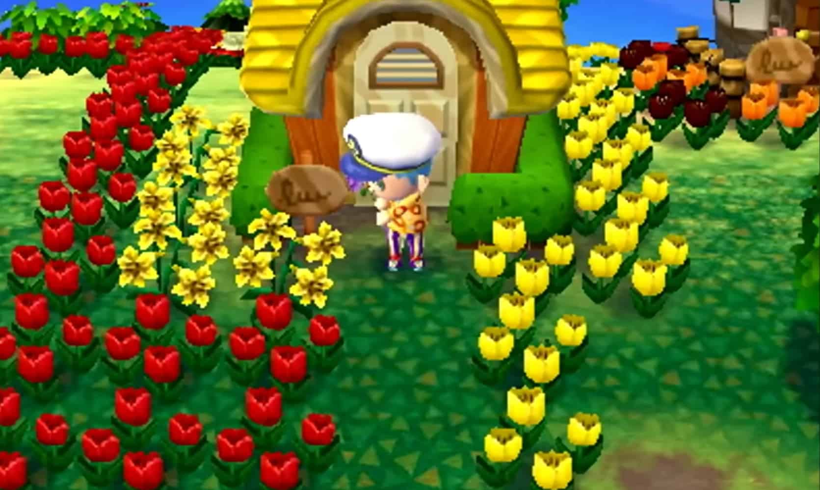 Animal Crossing New Leaf vs New Horizons - Creature Crossing